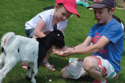 enfants donnant à manger à une chèvre